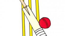Cork Harlequins Cricket AGM